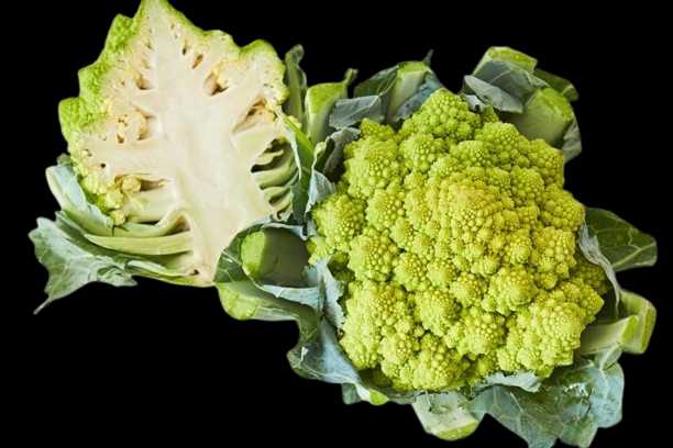 Vegetable Name in english and Hindi